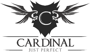 Регистратор Cardinal M3000 Регистратор Cardinal M3000