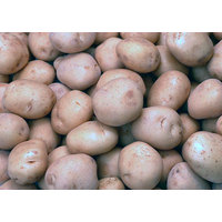 Покупали картофель на http://оптом-картофель.рф/