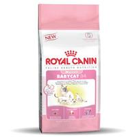 Отзыв на Royal Canin BABYCAT