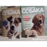 Review 12026 6766d0842dde149324621982faee73f6