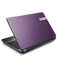 Отзыв на Packard bell Dot S 