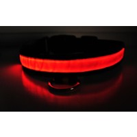 Отзыв на Ошейник BUYINCOINS New Pet Dog Cat LED Light Flashing Safety Nylon Collar 