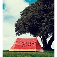Отзыв на палатка туристическая FieldCandy Арбуз