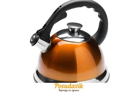 Отзыв на Чайник Mayer & Boch MB-3112-2