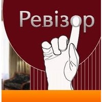 Отзыв на Программу 'Ревизор' 