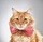 <a href="/users/mitya-crawecz">Limpopo</a>