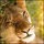 <a href="/users/gnevnov-andrei">Andreykooo</a>